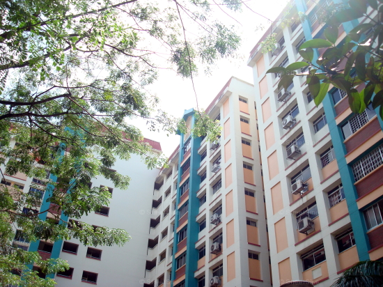 Woodlands Street 83 thumbnail photo